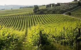 Tenuta Di Monaciano